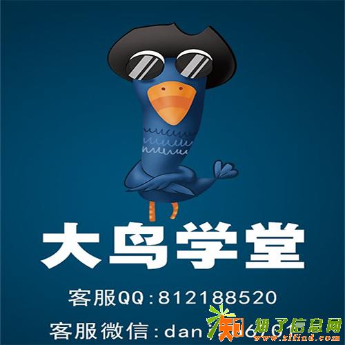 选择大鸟学堂做无货源淘宝店群的优势