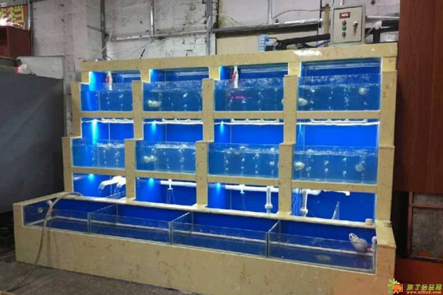 东莞超市海鲜池 海鲜池定做哪里有 定做海鲜池定做