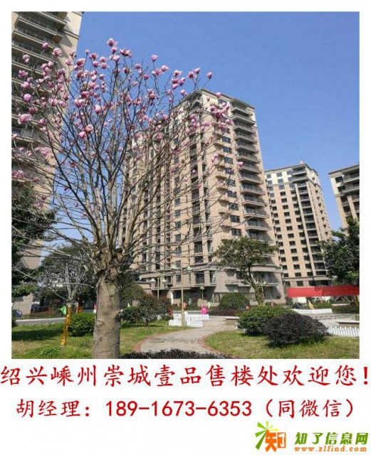 绍兴嵊州崇城壹品国内楼市行情