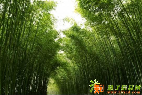 河南周边避暑景区 来洛阳神灵寨体验大自然的24度