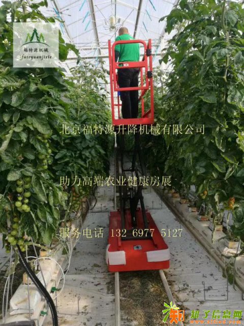 电动行走液压升降温室蔬菜大棚专用采摘机
