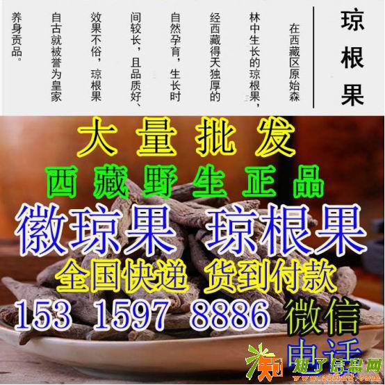 徽琼果徽琼果徽琼果琼根果琼根果批发专卖