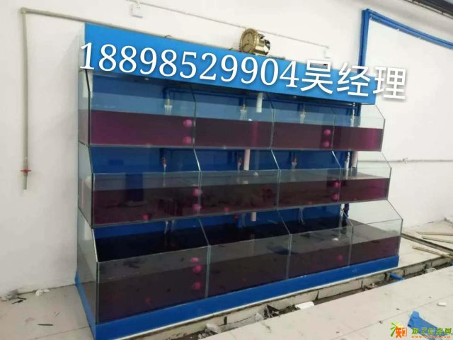 东莞酒店海鲜池定做 虎门海鲜池设计公司 定做海鲜池