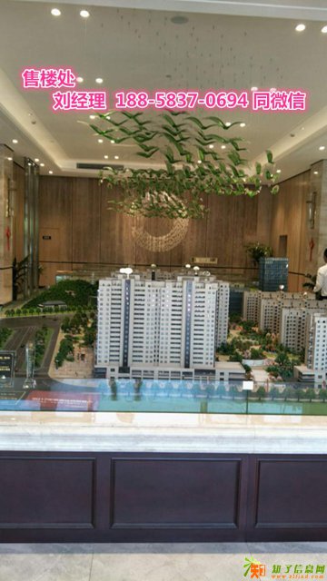 绍兴嵊州天章华府有哪些缺点和劣势，风险可控性！