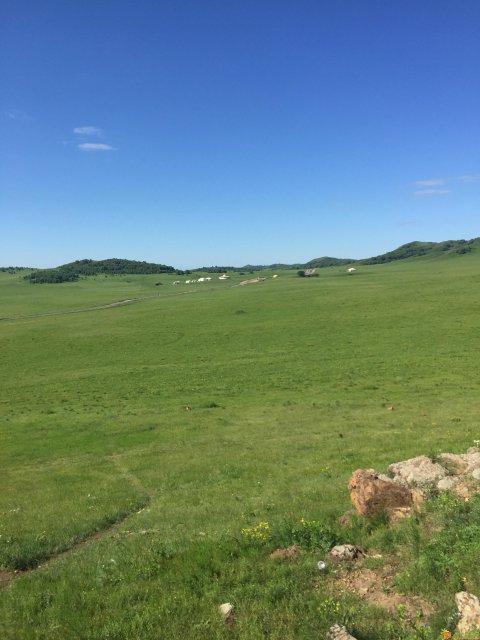 收转公司执照代理注册包注册地址可申请税控