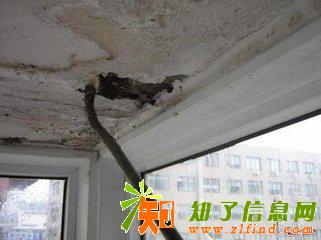 朝阳区芍药居窗户防水|窗台窗边裂缝堵漏