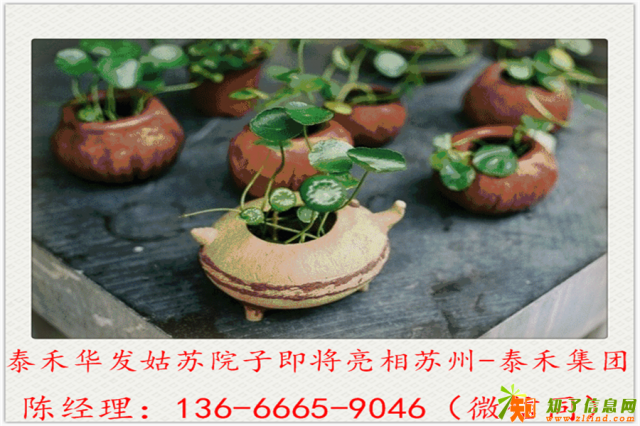 苏州泰禾姑苏院子一泰禾姑苏院子一大家来讨论一下！