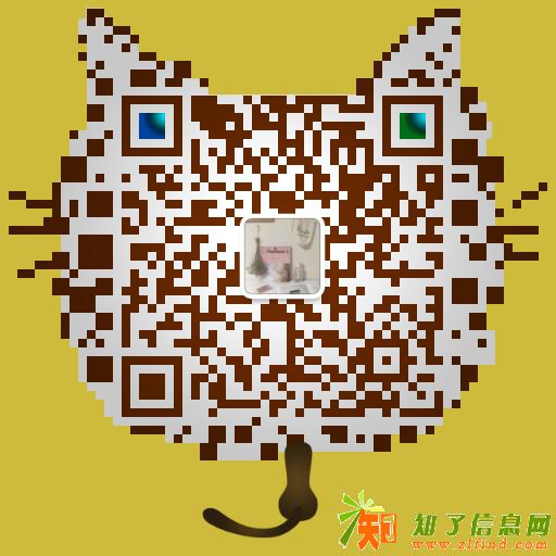 湖南象样信息有限公司