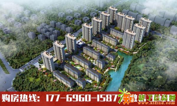 平湖新城金樾网站-品质生活倡导者