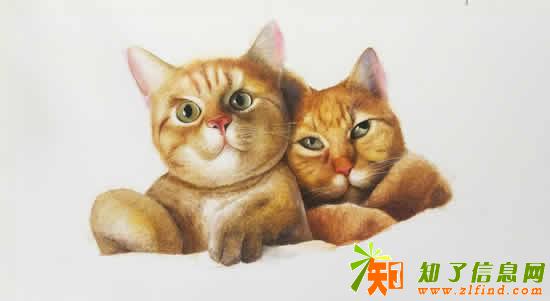 暑假零基础学水彩美术兴趣班玛雅画室