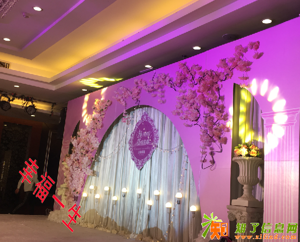 只有我们是更专业的