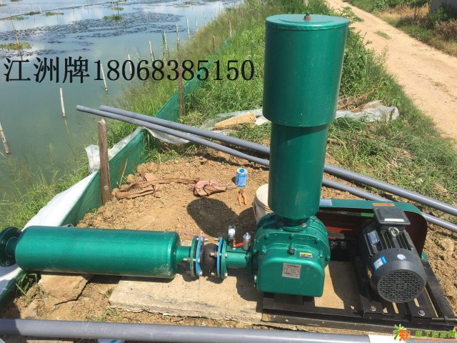 三叶罗茨风机水产养殖专用