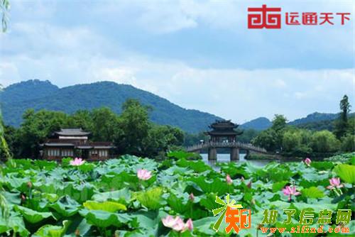杭州赏荷哪家强这几个地方都很棒