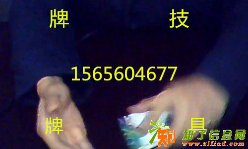 合肥售九张比鸡有没出新产品_九张比鸡最新道具