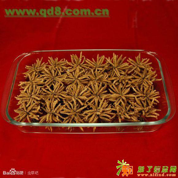 高价回收关东参海参鲍鱼回收冬虫夏