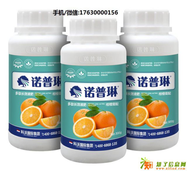 诺普琳告诉你柑桔炭疽病怎样治