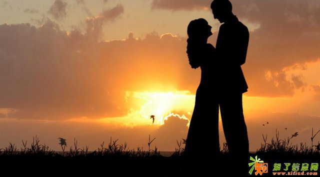 深圳鼎益丰马小秋：爱情是一场修行