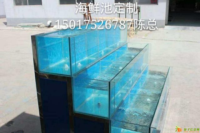 从化市好水族海鲜池公司|广州定做海鲜池|不锈钢