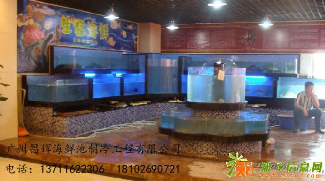 广州定做酒店海鲜池，海鲜酒楼海鲜鱼缸定做，酒店鱼池