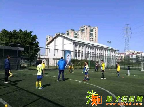 东莞市体育馆索福德足球俱乐部招生