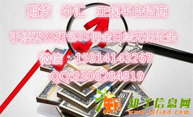 杭州金融大区直播间火爆招商