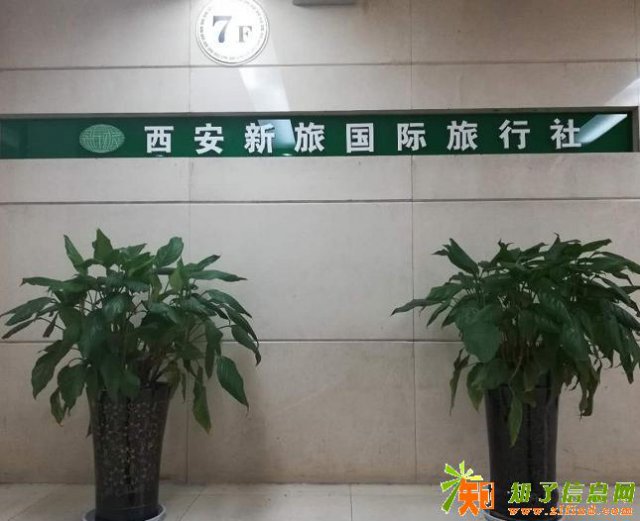 在大学城开旅行社哪里好？旅行社加盟