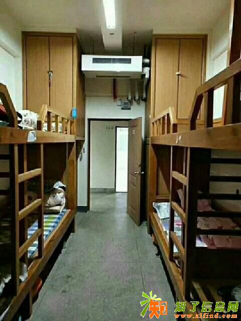 厂区直招当天安排食谱