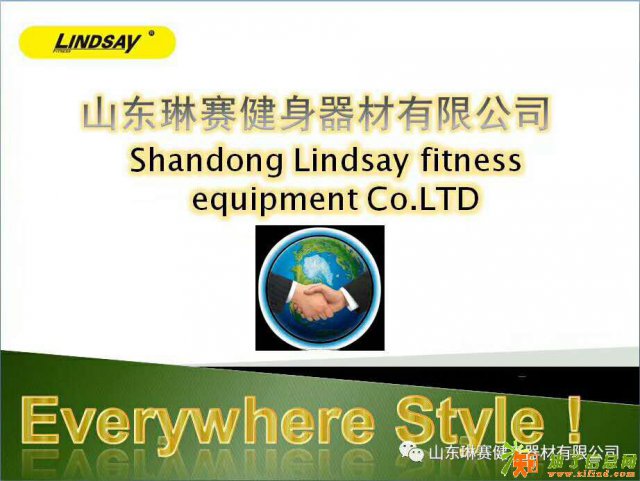 山东琳赛健身器材有限公司供应女士专用坐式推胸训练器