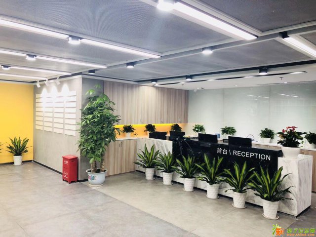 布吉创客孵化器办公室带场地证明/红本凭证直租