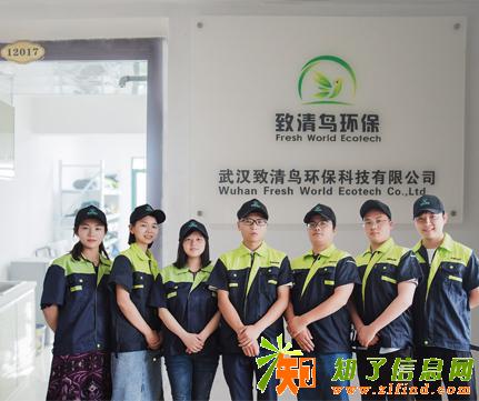 硚口办公室甲醛治理武汉致清鸟环保