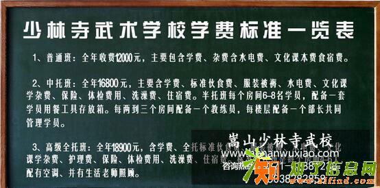 武术学院一年学费大概要多少钱少林寺武校收费标准