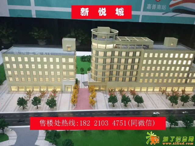 嘉善新悦城出大事了！有图有真相！赶紧过来看看！