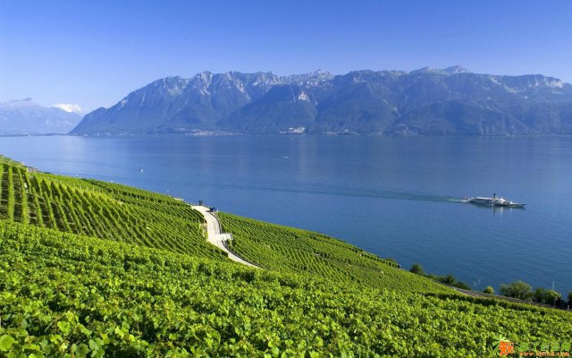 专业环评报告环保批文环评备案办理