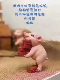 学历提升211985院校你值得拥有