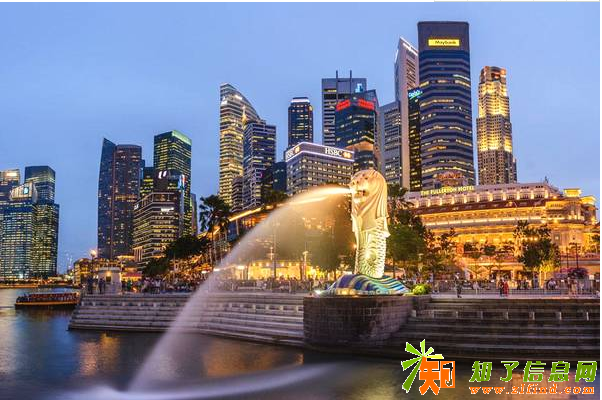 注册新加坡公众公司非盈利基金会的流程和价格