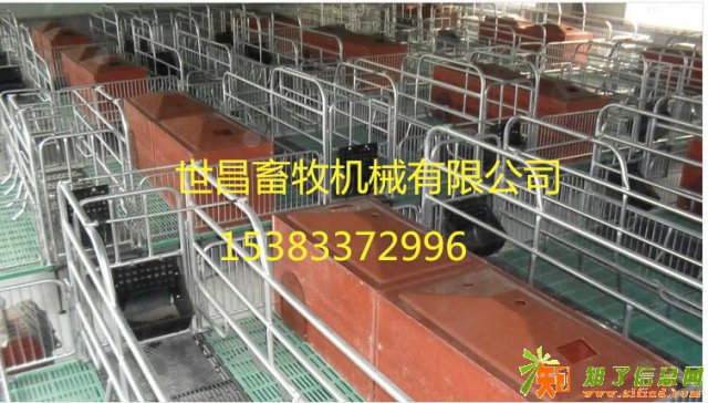 母猪产床价格触底感恩回馈欢迎致电