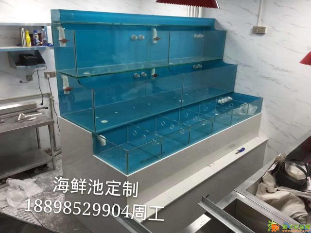 佛山市地区承接海鲜池定制及养殖服务高明海鲜池定做