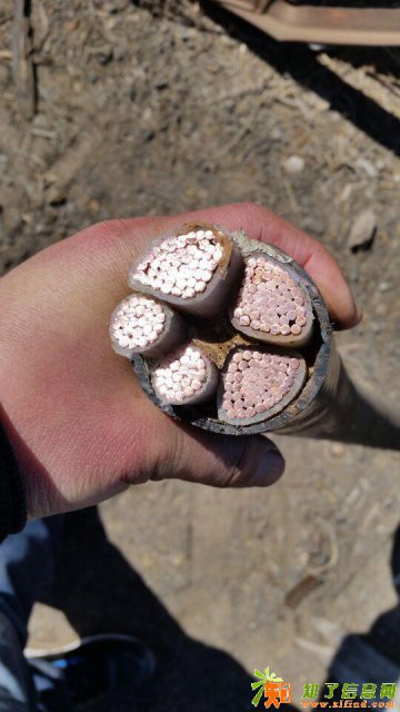 安康电缆回收价格及电话