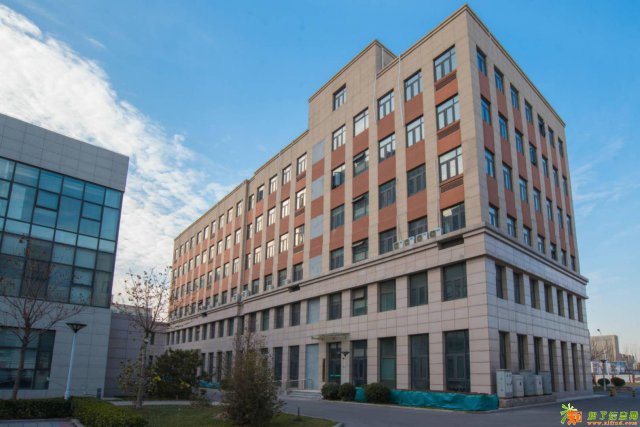 轩意艺术学院美术传媒艺考培训