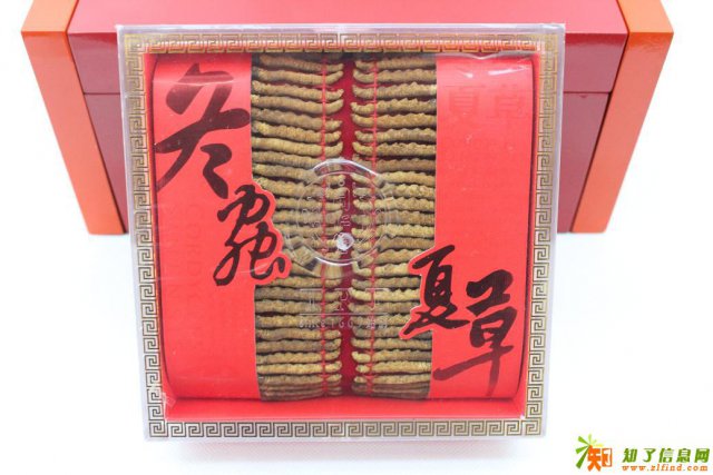 专业收购冬虫夏草回收北京收购虫草