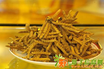 西城区回收冬虫夏草收购同仁堂虫草