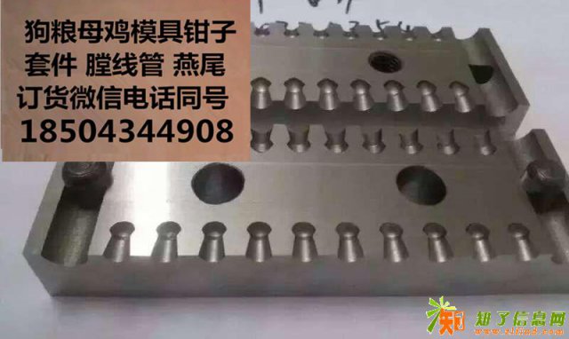 沈阳膛线精密管狗粮母鸡模具钳子哪家专业