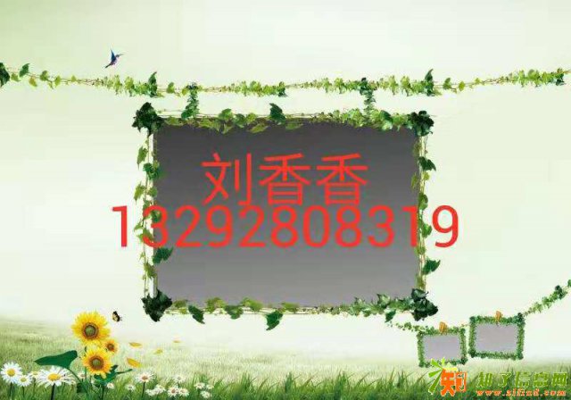 厨师出国打工去哪个国家好挣钱多