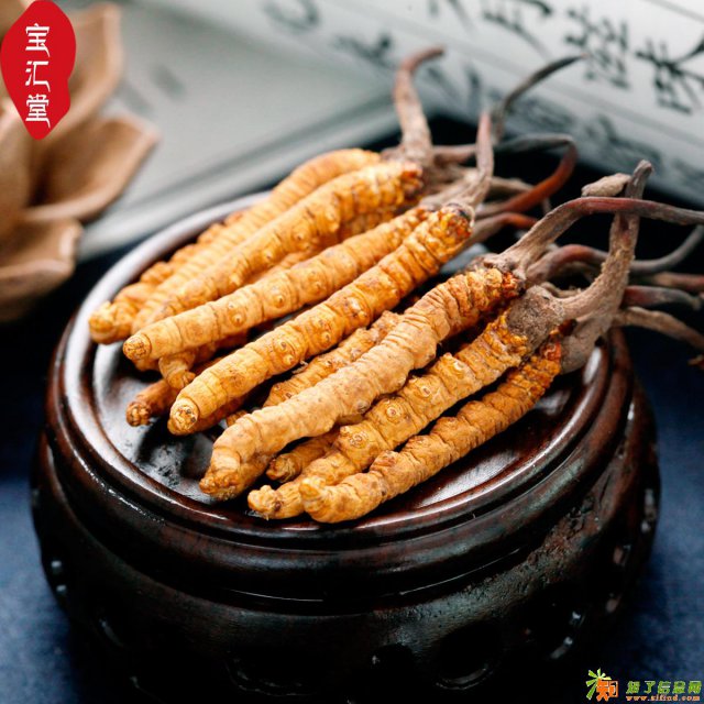 回收海参收购冬虫夏草回收过期发霉虫草