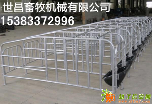 养猪设备母猪定位栏河北厂家直销价格
