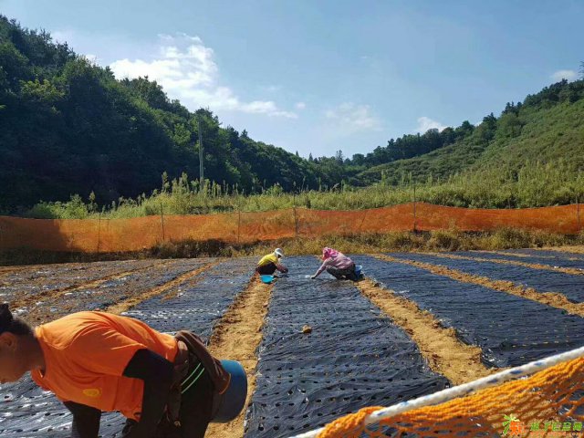 出国工作法国已送一批补招名额普工建筑工代理优惠