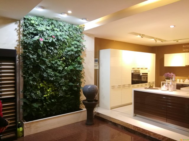 石家庄绿植墙价格