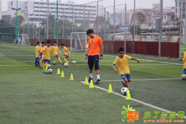 东莞市青少儿足球培训班