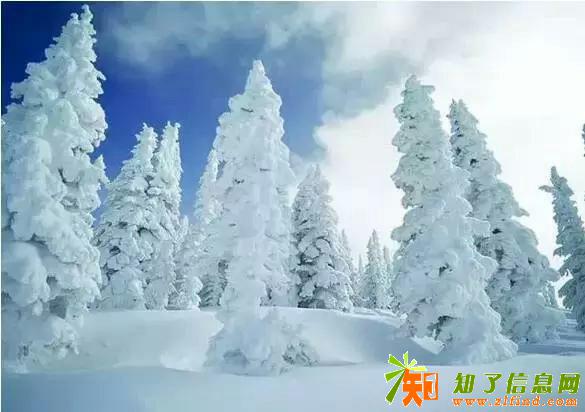呼伦贝尔的冬天是什么样的？堆雪人、打雪仗、住火炕