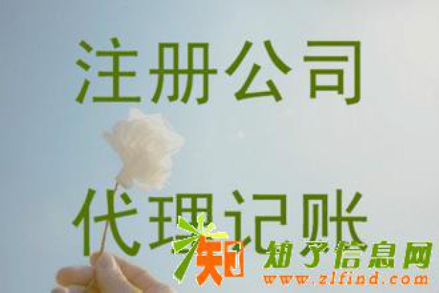 大沥专注公司注册公司注销工商变更，代理记账专业